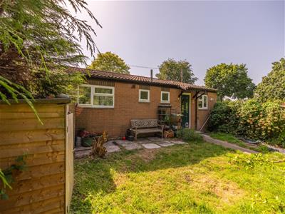 Picture 20